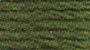 DMC Thread 319 - Shadow green